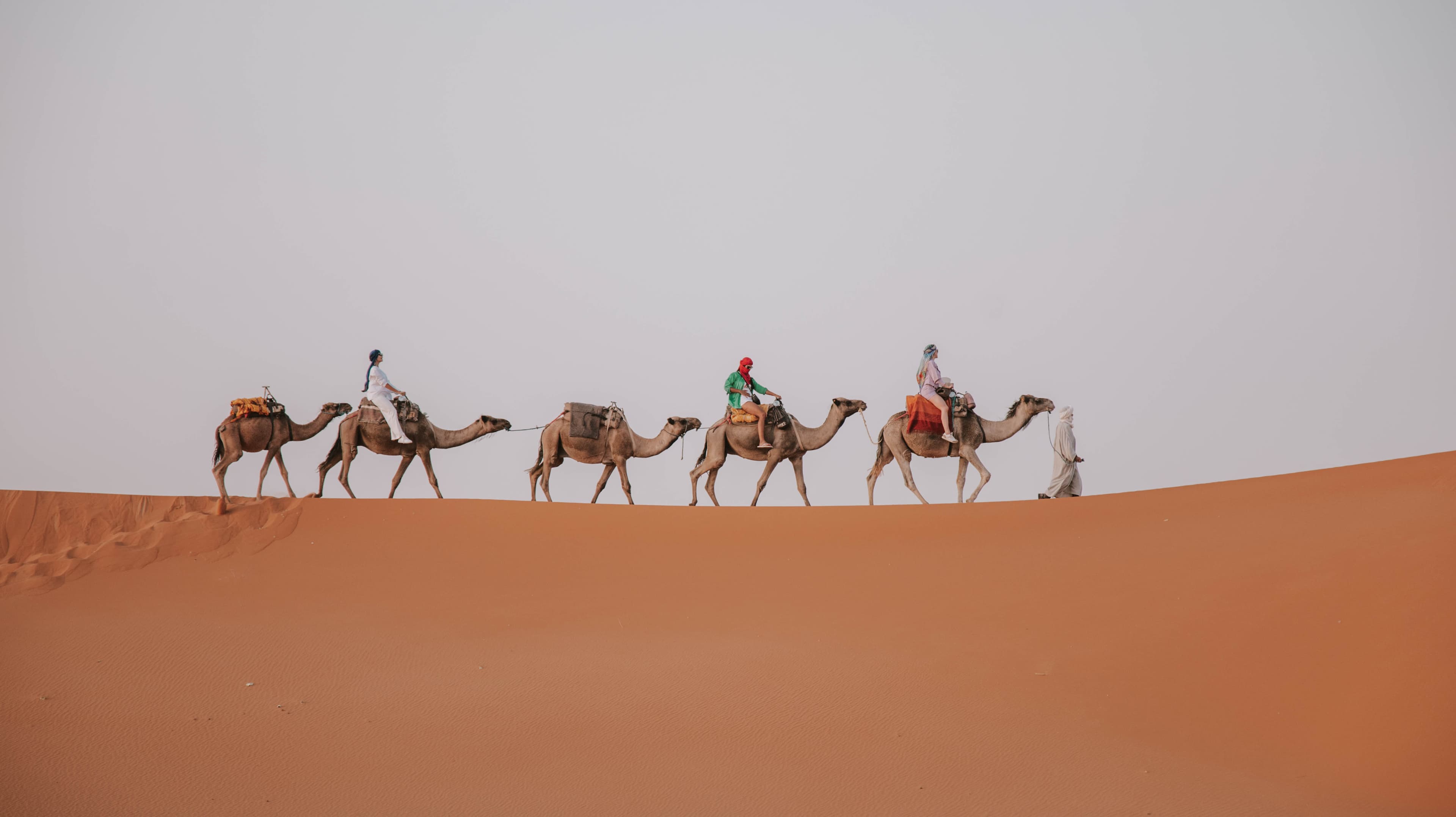 Camel Trekking in Morocco: What to Really Expect