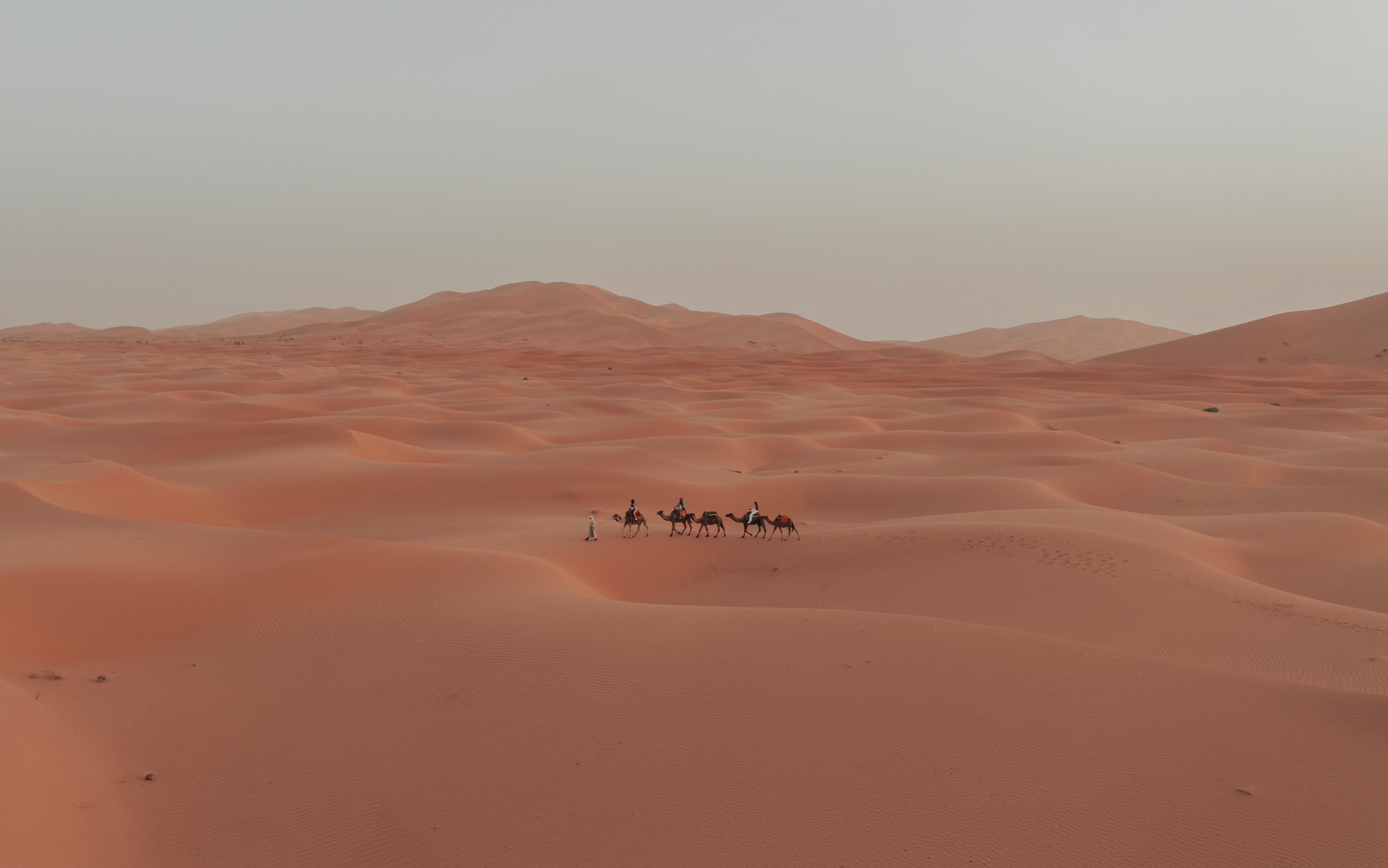 Sahara Desert dunes