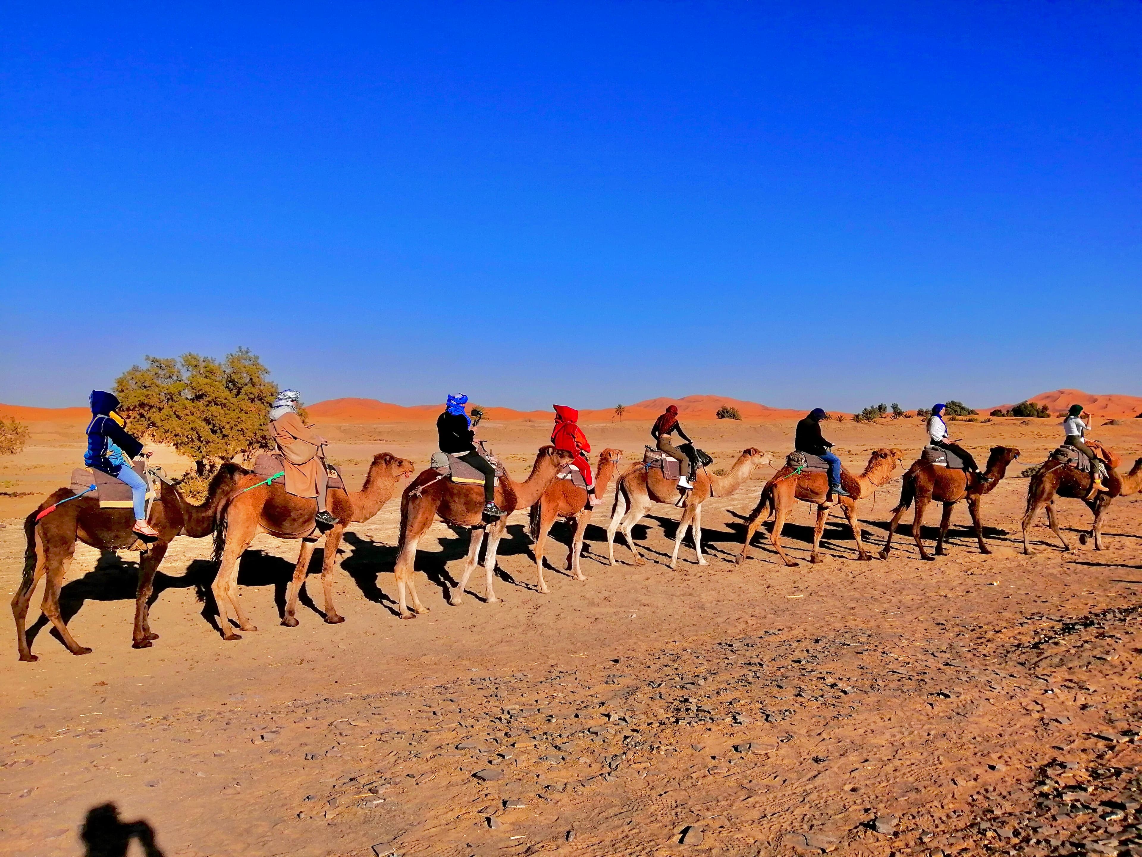 Sahara Desert landscape from Marrakech