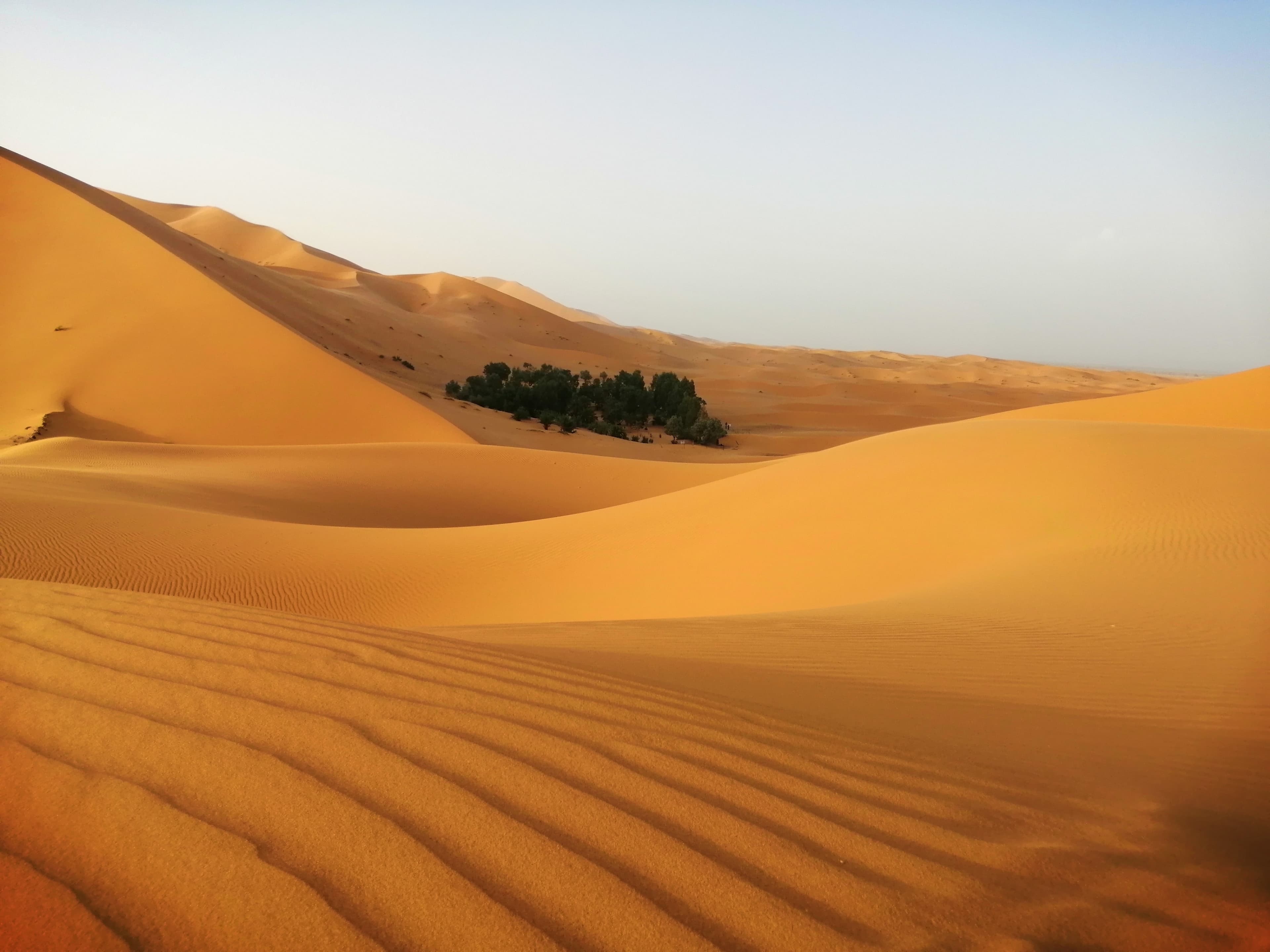 10 Things to Know Before Your First Sahara Desert Trip