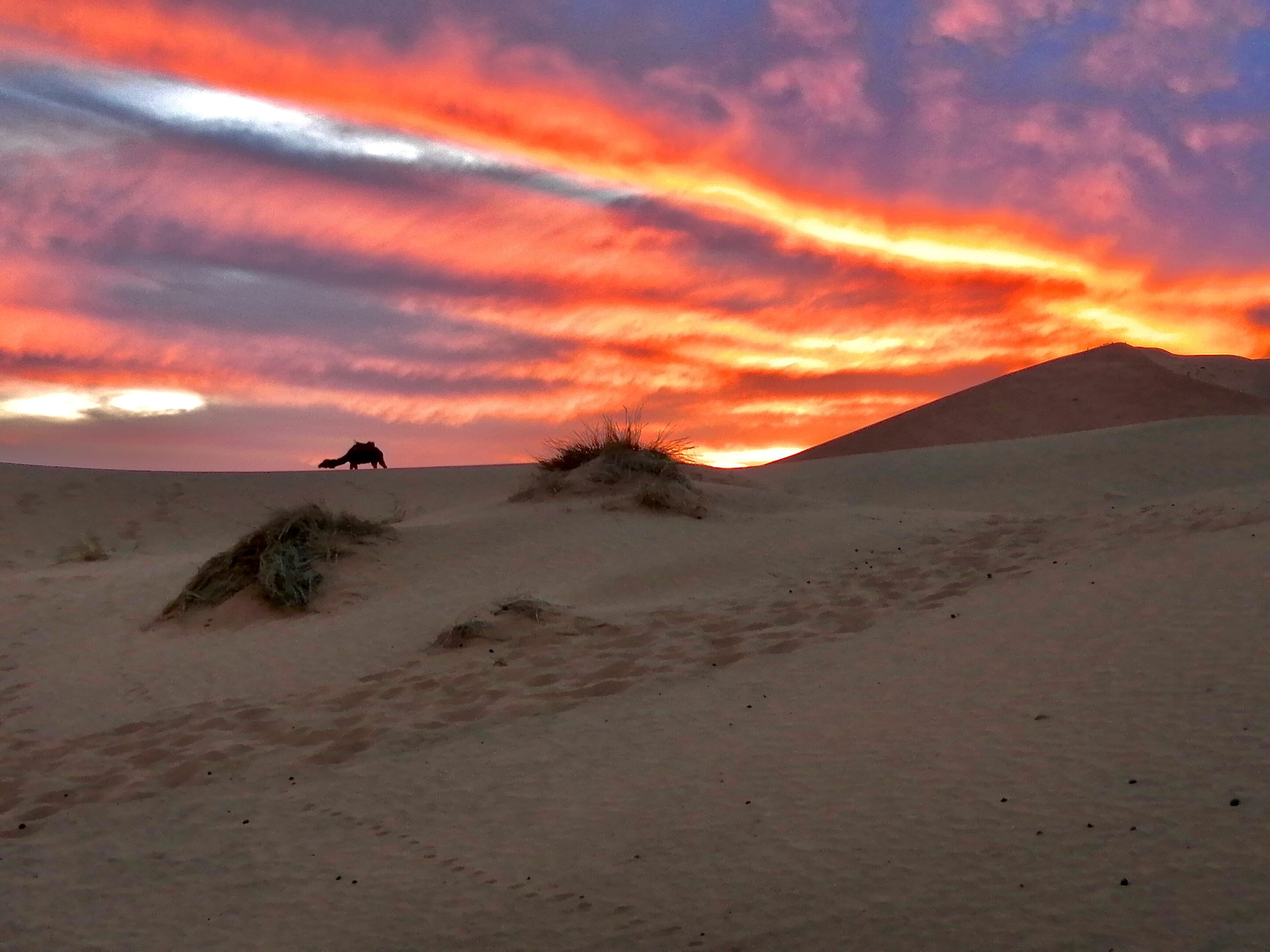 The Best Time to Visit the Sahara Desert
