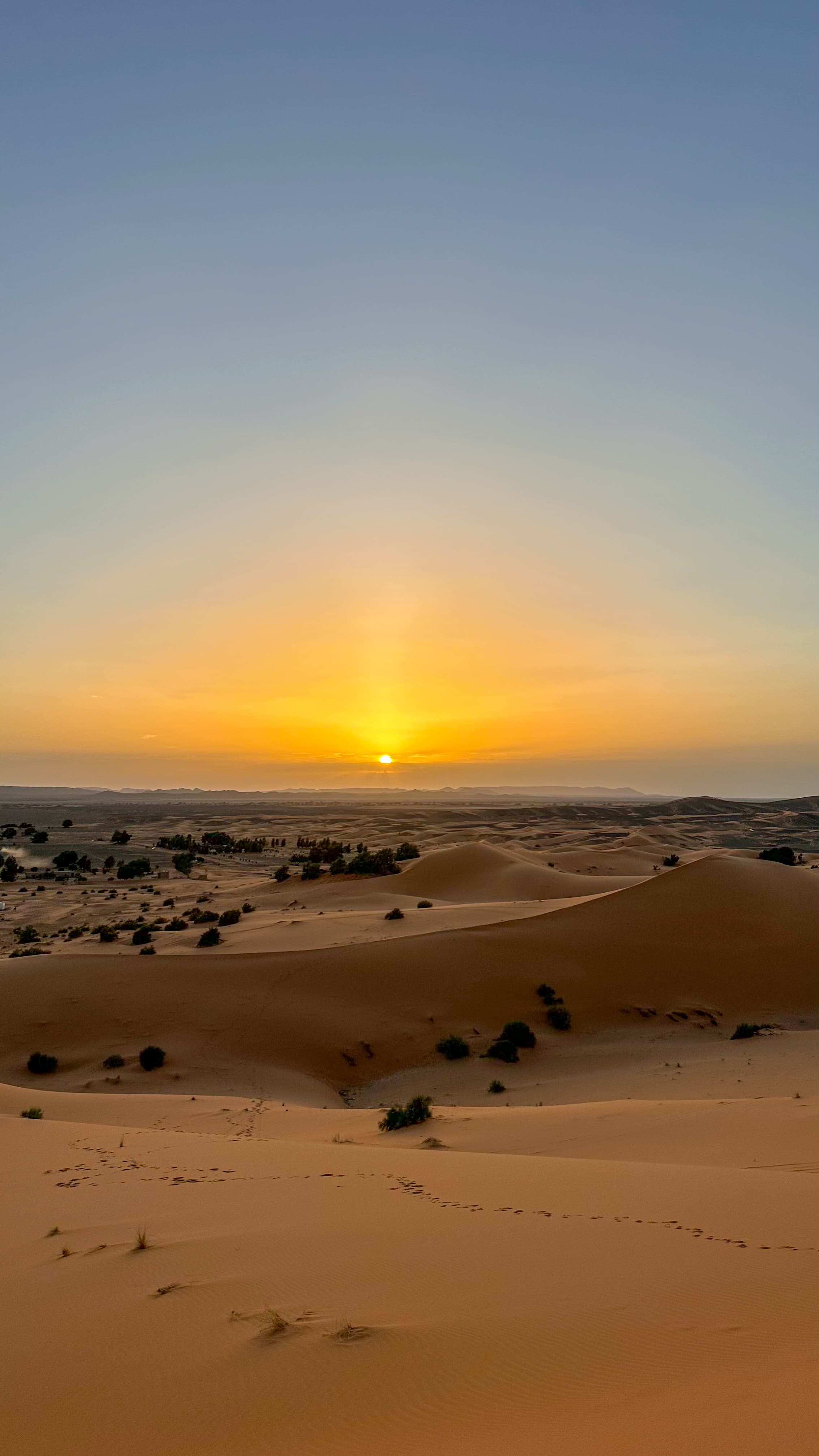 Berber Culture: Understanding the People of the Sahara