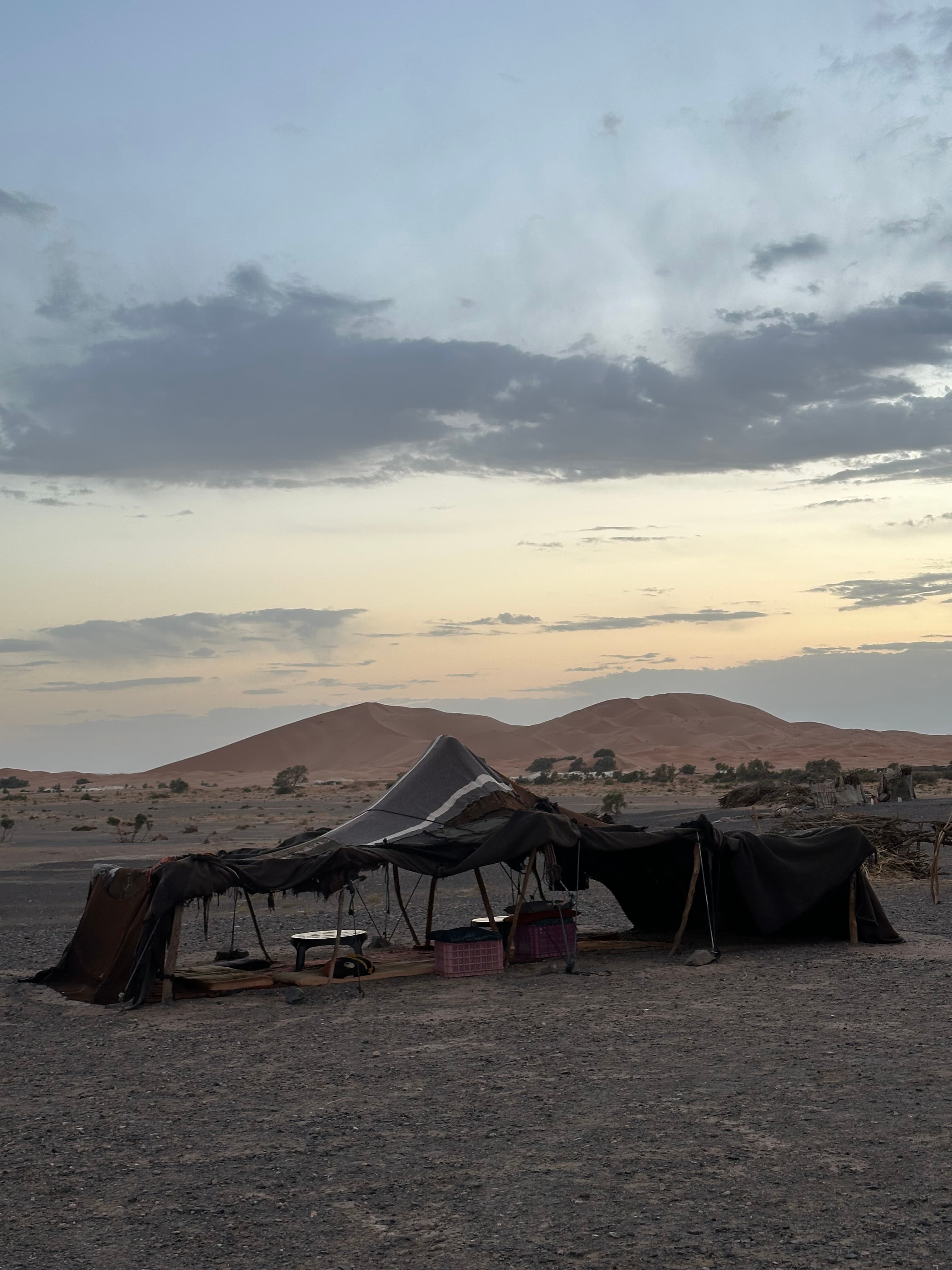 Sahara Desert contact